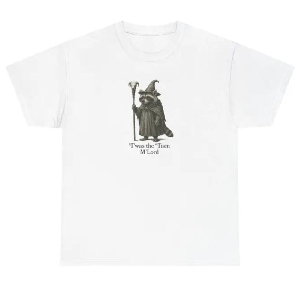 Funny Meme Tee, Funny Graphic Shirt, Sarcastic T-Shirt